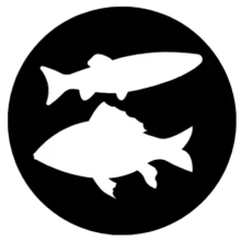 Chovateľské Potreby - Ryby