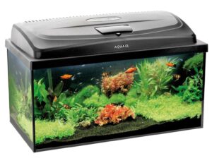 Akvárium CLASSIC BOX PAP 60x30x30cm  akvárium+kryt s osvetlením LED 10W