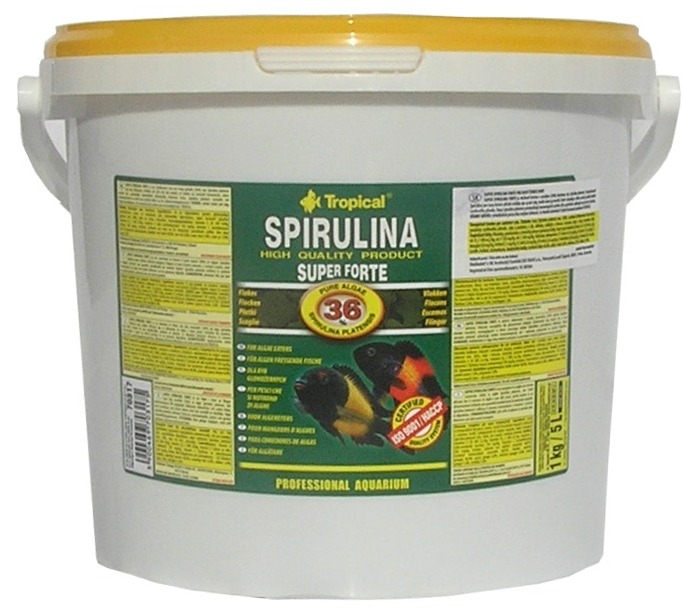 TROPICAL- Spirulina Forte 36% 5L/1kg