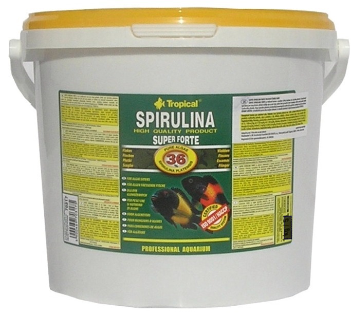 TROPICAL- Spirulina Forte 36% 11L/2kg
