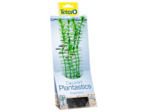 Tetra - Anacharis 23cm rastlina plast. M