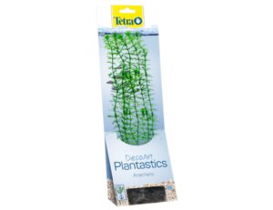 Tetra - Anacharis 30cm rastlina plast. L