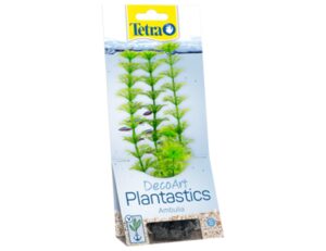 Tetra - Ambulia 15cm rastlina plast. S
