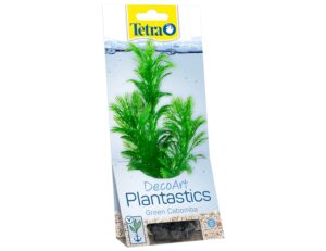 Tetra - Green Cabomba 15cm rastlina plast. S