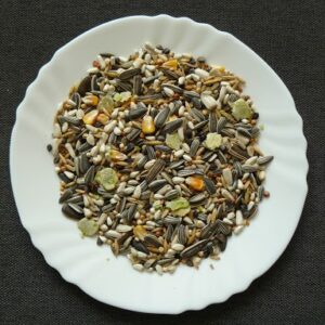 Avicentra AVC Classic Menu Velký papagáj 15kg