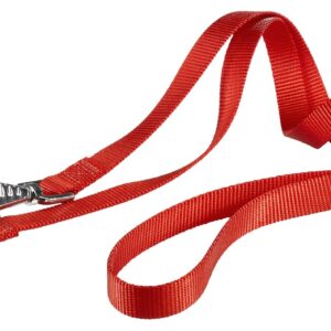 Ferplast CLUB GA20/200 LEAD RED