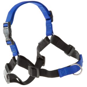 Ferplast COACH P M-L HARNESS BLUE