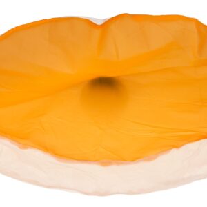 Ferplast CRAZY BALL-ELECTRONIC TOY