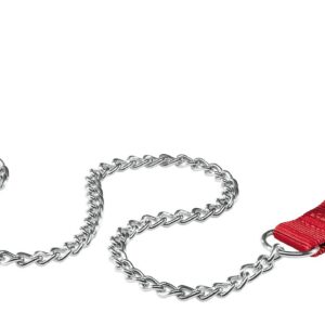 Ferplast DAYTONA GM25/100 CHRM RED LEAD