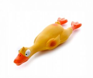 HIP HOP DOG HHD Pískacia kacka 24cm