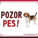 HP product for Happy Pets Tabulka POZOR PES  - beagle