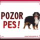 HP product for Happy Pets Tabulka POZOR PES  - bernsky salasnick