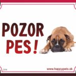 HP product for Happy Pets Tabulka POZOR PES  - boxer