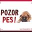 HP product for Happy Pets Tabulka POZOR PES  - boxer