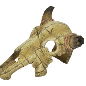 Happet Lebka býka 20cm - akva. dekorácia