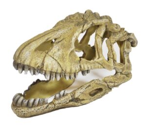 Happet Lebka dinosaura 17cm - akva. dekorácia