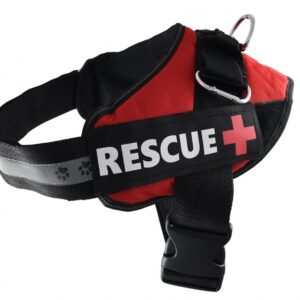 Petnova HA-RESCUE-RE-L