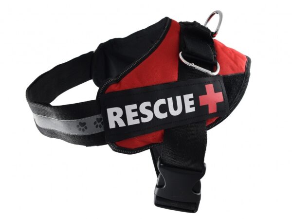 Petnova HA-RESCUE-RE-L