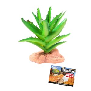 Reptile nova REPTILE NOVA Rastlina do terária 13cm aloe
