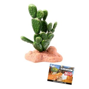 Reptile nova REPTILE NOVA Rastlina do terária 15cm kaktus stredný