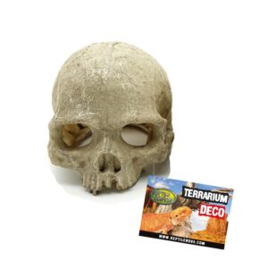 Reptile nova REPTILE NOVA úkryt do terária lebka 11x14cm