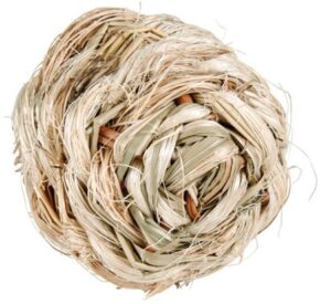 Trixie Apple with maize husk