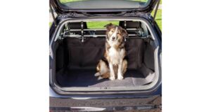 Trixie Car boot cover