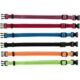 Trixie Junior Set of puppy collars