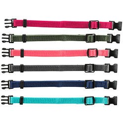 Trixie Junior Set of puppy collars