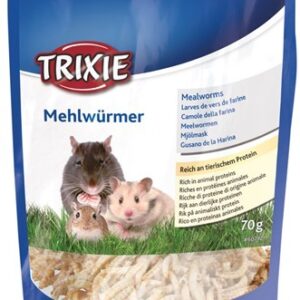 Trixie Mealworms