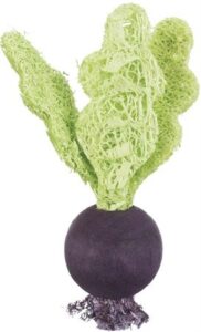 Trixie Set of strawberry/beetroot