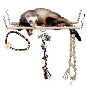 Trixie Suspension bridge