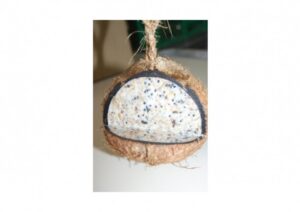 Trolik - zimny sotriment Loj + semená v kokose celý s výrezom