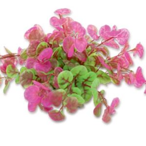 Velká plastová rastlina 10cm 1F11