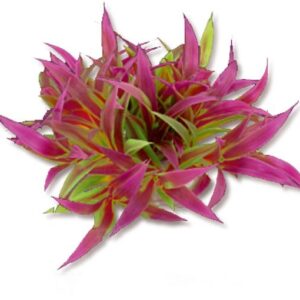 Velká plastová rastlina 10cm 1F24