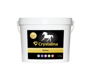 Crystalina Horses 2