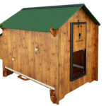 Kurín pre sliepky POLLY CLASSIC 2XL