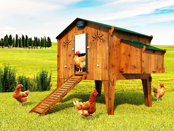 Bezpečnostné dvierka s poistkou ku kurínu CHICKEN GUARD DOOR 25x30 – Obrázok 4