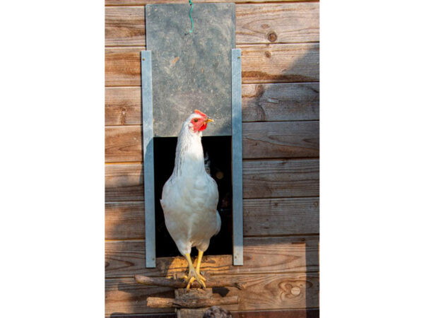 Komplet automatického otvárania a zatvárania kurína JOSTechnik HK-Bat 23x34 D – Obrázok 4