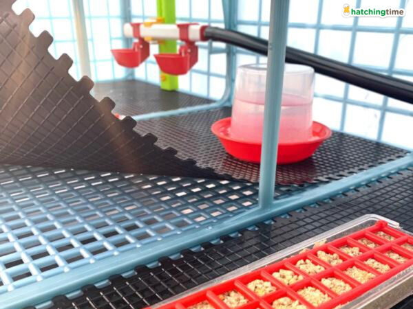 Plastová podložka do odchovne hydiny CIMUKA CB-CF01 – Obrázok 2