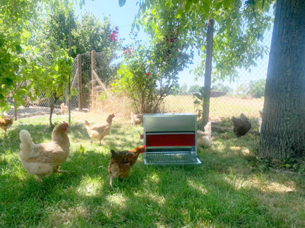 pozinkované GAUN 11225 - 20 kg