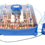 Plne automatická liaheň na vajcia BOROTTO LUMIA 56 EXPERT