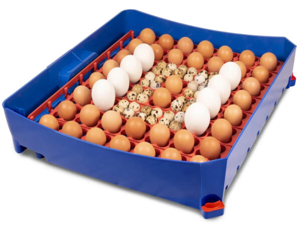 Automatická liaheň na vajcia BOROTTO LUMIA 56 AUTOMATIC – Obrázok 2