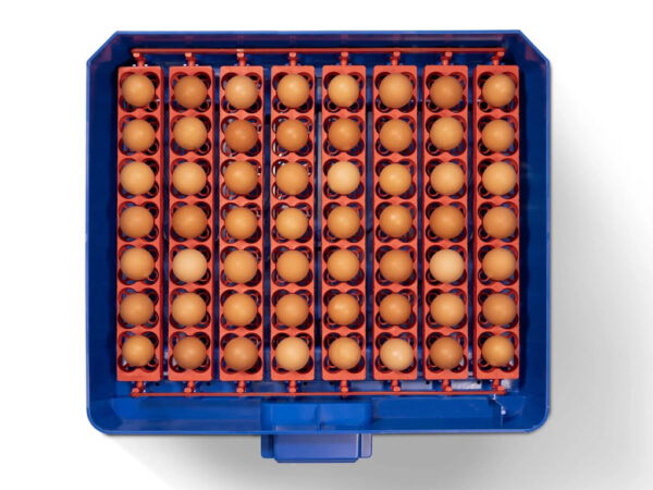 Automatická liaheň na vajcia BOROTTO LUMIA 56 AUTOMATIC – Obrázok 4