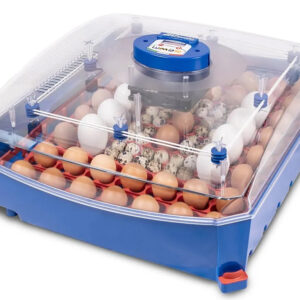 Automatická liaheň na vajcia BOROTTO LUMIA 56 AUTOMATIC