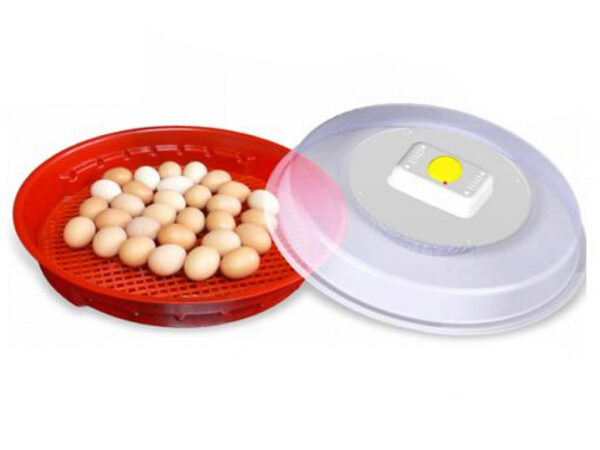 Liaheň na vajcia PUISOR IO-102 – Obrázok 2