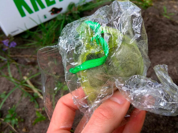 Pachový odpudzovač krtkov KUNAGONE, set 10 ks – Obrázok 4