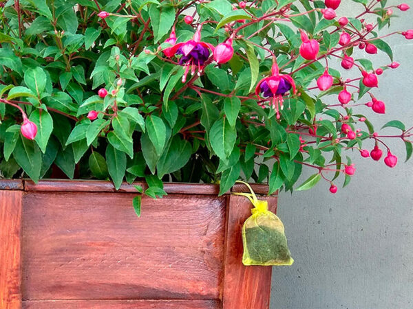 Pachový odpudzovač mačiek KUNAGONE, set 2 ks – Obrázok 3