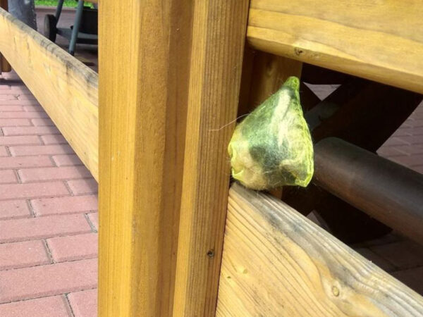 Pachový odpudzovač mačiek KUNAGONE, set 2 ks – Obrázok 4