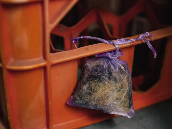 Pachový odpudzovač myší KUNAGONE, set 10 ks – Obrázok 4